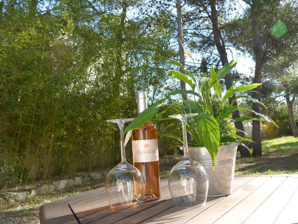 Studio D'Hotes Les Libellules Castelnau-le-Lez Rum bild